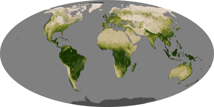 Global Map Vegetation Image 225