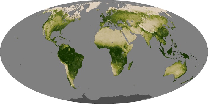 Global Map Vegetation Image 231