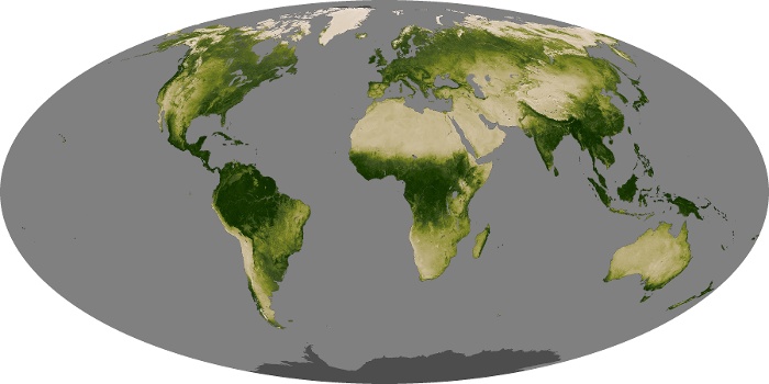 Global Map Vegetation Image 237
