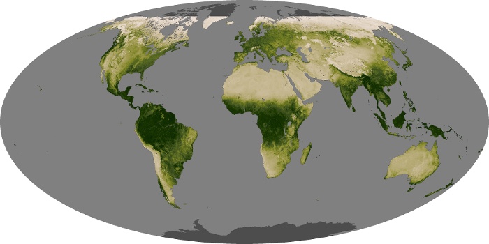 Global Map Vegetation Image 238