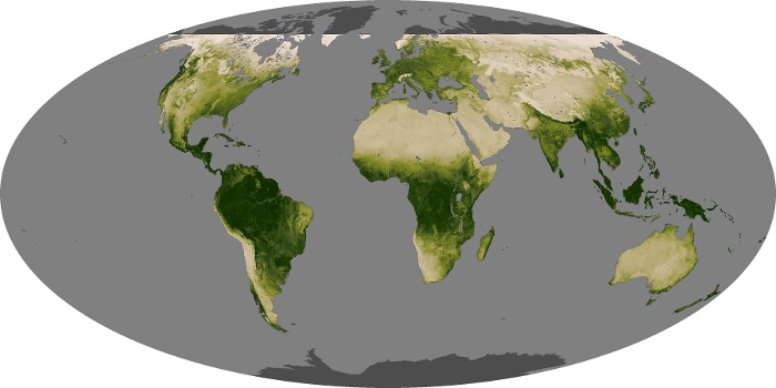 Global Map Vegetation Image 239