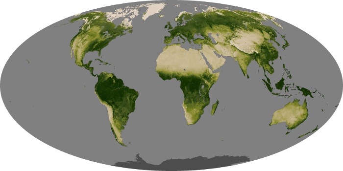 Global Map Vegetation Image 240
