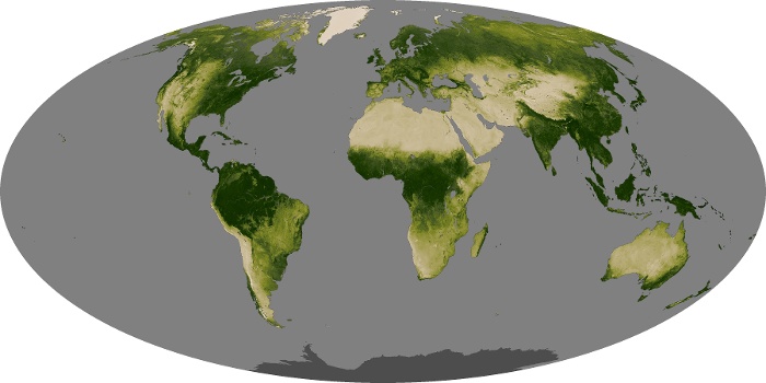 Global Map Vegetation Image 244