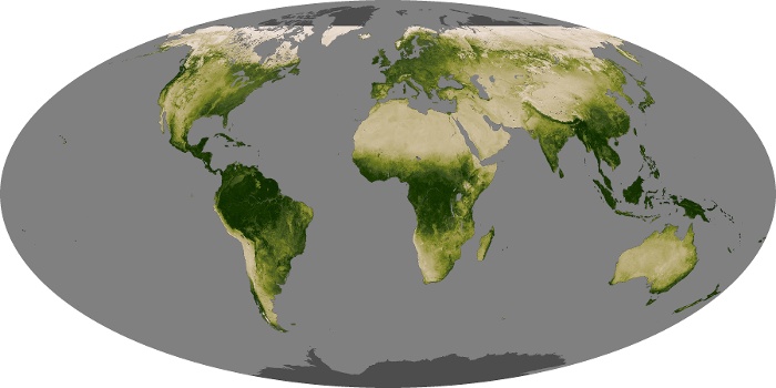 Global Map Vegetation Image 250