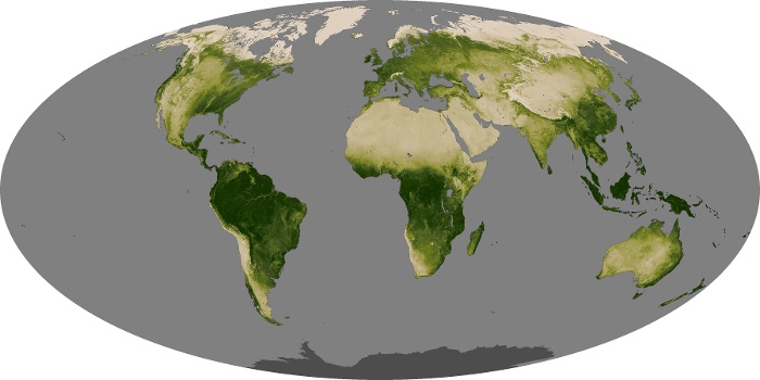 Global Map Vegetation Image 255