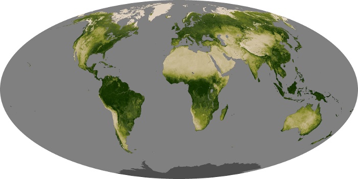 Global Map Vegetation Image 256