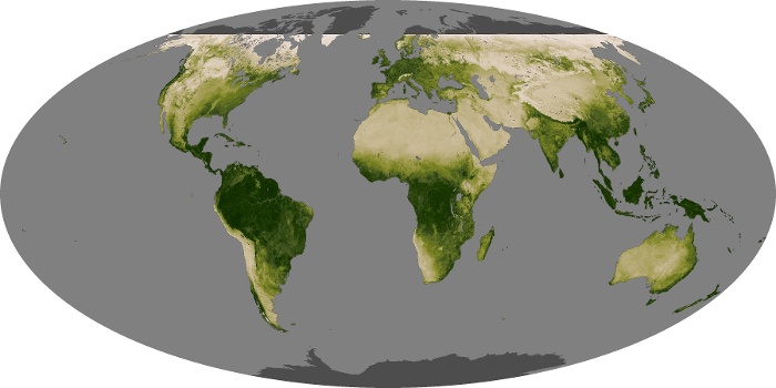 Global Map Vegetation Image 275