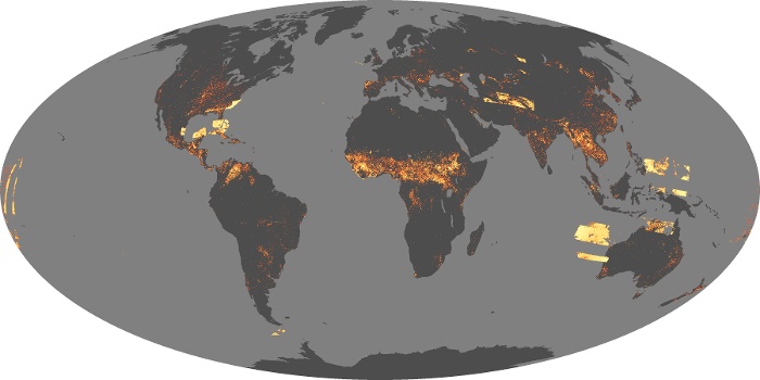Global Map Fire Image 1