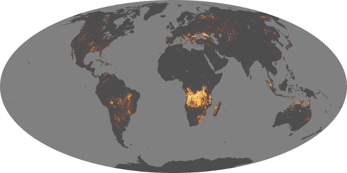 Global Map Fire Image 5