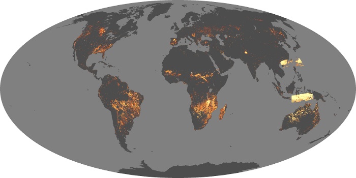 Global Map Fire Image 8