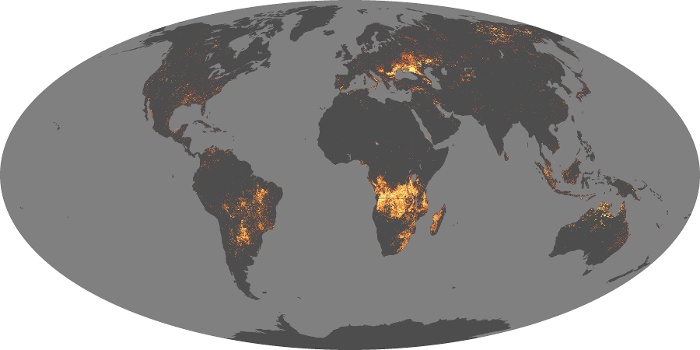 Global Map Fire Image 17