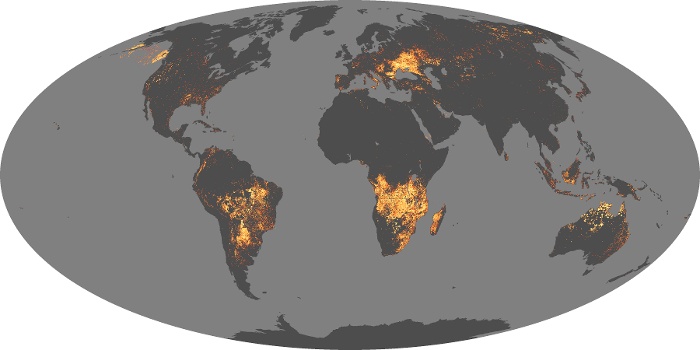 Global Map Fire Image 18