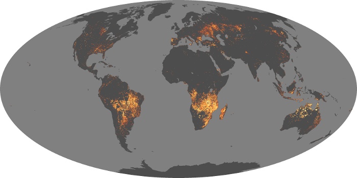 Global Map Fire Image 19