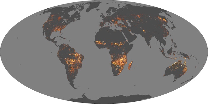 Global Map Fire Image 20