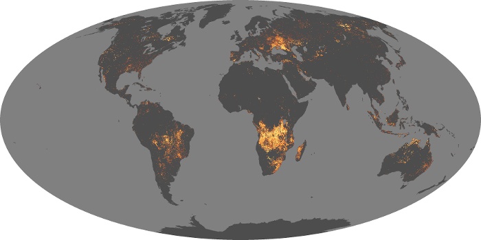 Global Map Fire Image 29