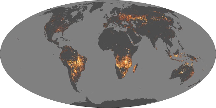 Global Map Fire Image 31