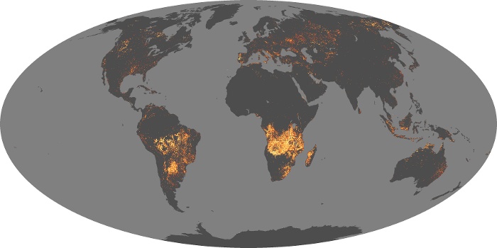 Global Map Fire Image 42