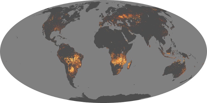 Global Map Fire Image 43