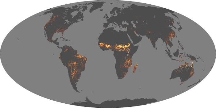Global Map Fire Image 45