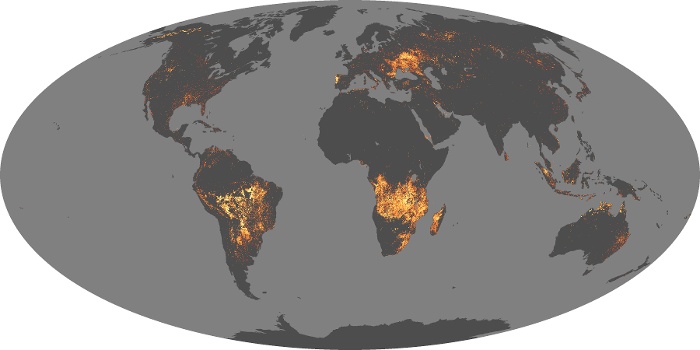 Global Map Fire Image 66