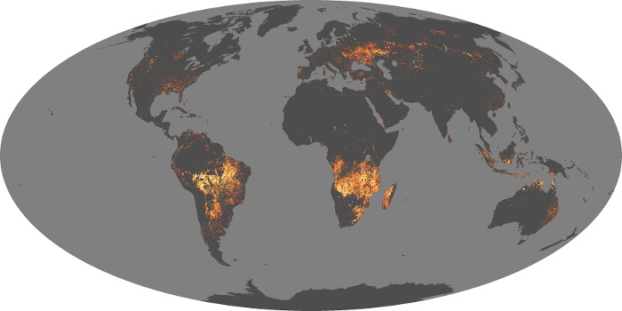 Global Map Fire Image 67