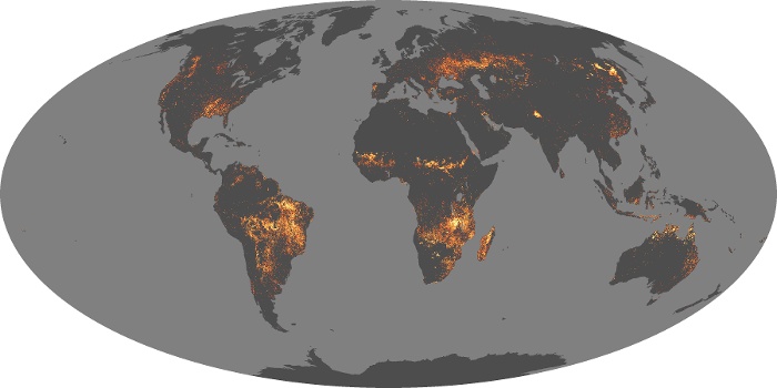 Global Map Fire Image 68