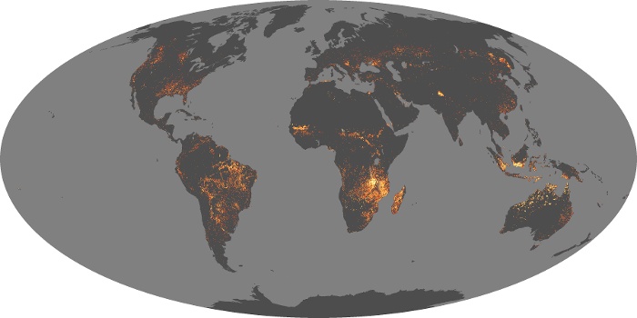 Global Map Fire Image 80