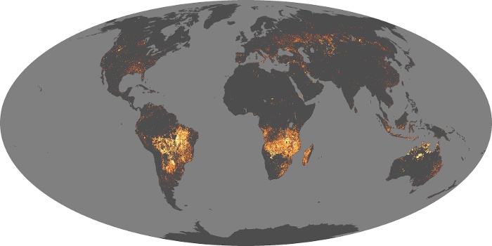 Global Map Fire Image 91