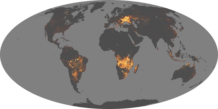 Global Map Fire Image 102