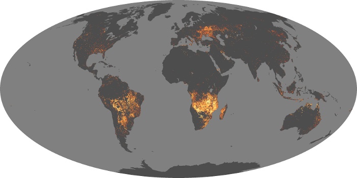 Global Map Fire Image 103