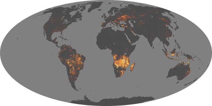 Global Map Fire Image 115