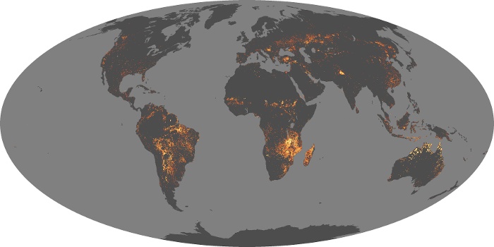 Global Map Fire Image 116