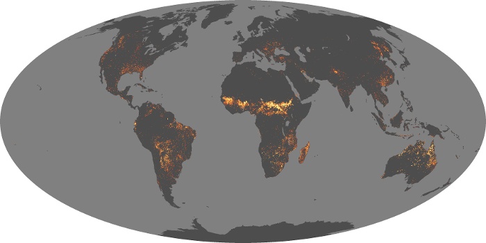 Global Map Fire Image 141