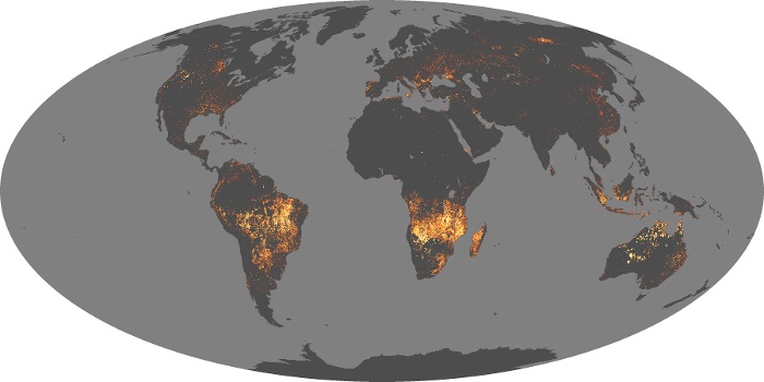 Global Map Fire Image 151