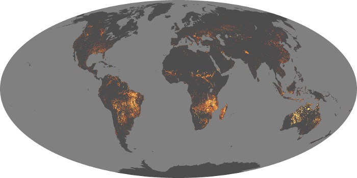 Global Map Fire Image 152