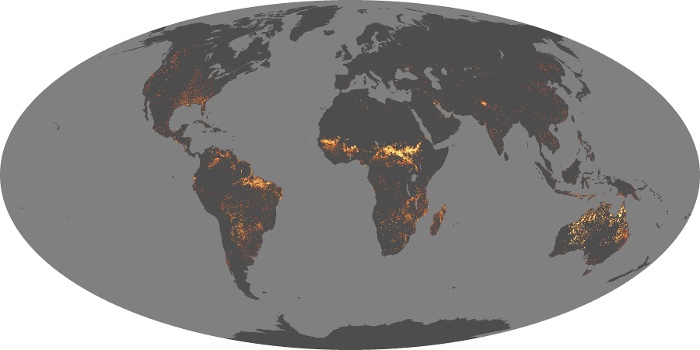 Global Map Fire Image 153