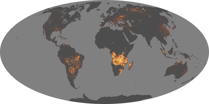 Global Map Fire Image 162