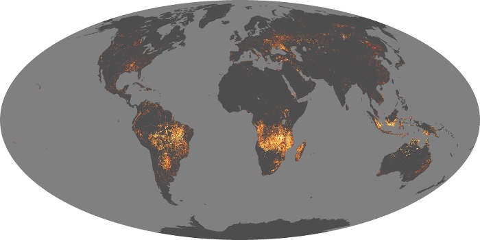 Global Map Fire Image 187