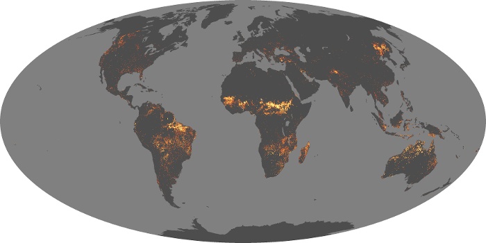 Global Map Fire Image 189