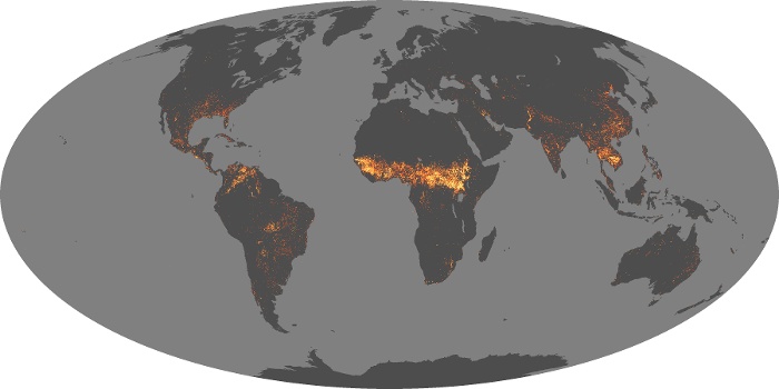 Global Map Fire Image 192