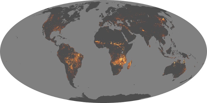 Global Map Fire Image 200