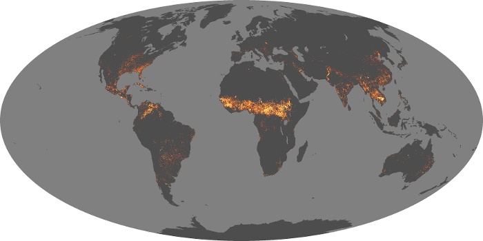 Global Map Fire Image 204