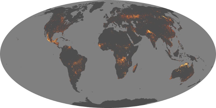 Global Map Fire Image 219