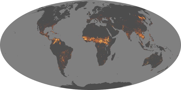 Global Map Fire Image 228