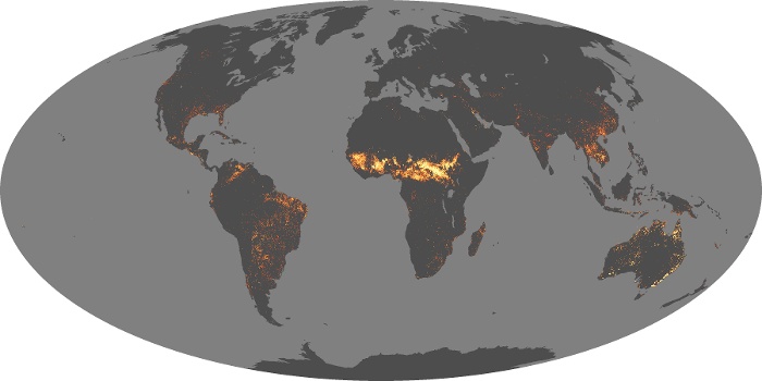Global Map Fire Image 238