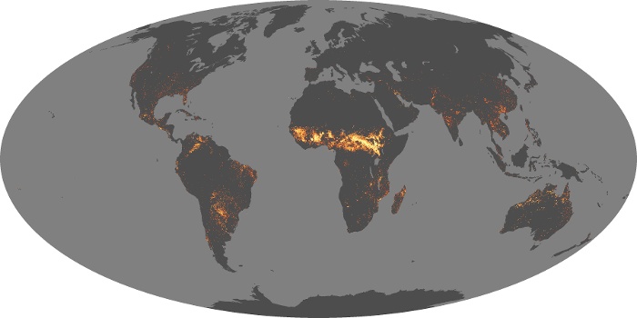 Global Map Fire Image 262