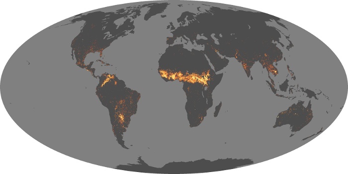 Global Map Fire Image 263