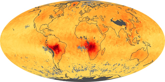 Global Map Carbon Monoxide Image 79