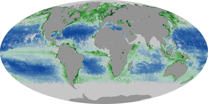Global Map Chlorophyll Image 1