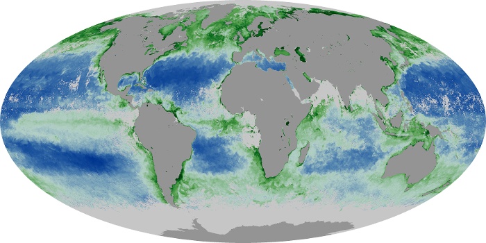 Global Map Chlorophyll Image 2